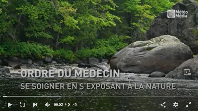 Le Québec prend une sérieuse avance sur le lien entre santé et “nature”